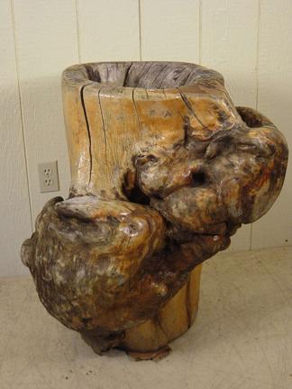 Very Unusual Hollow Tree Trunk made into a Planter